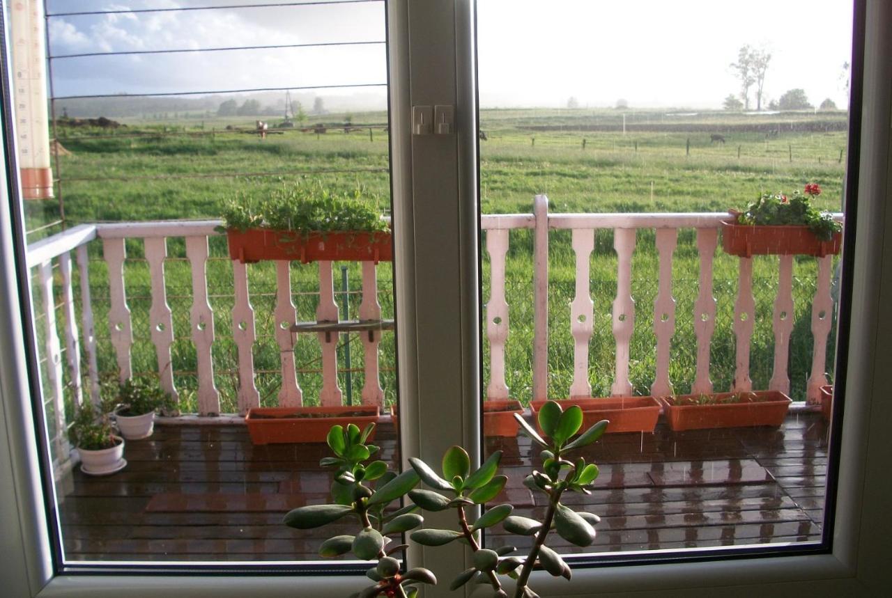 Sloneczna Weranda Bed & Breakfast วิดมินี ภายนอก รูปภาพ