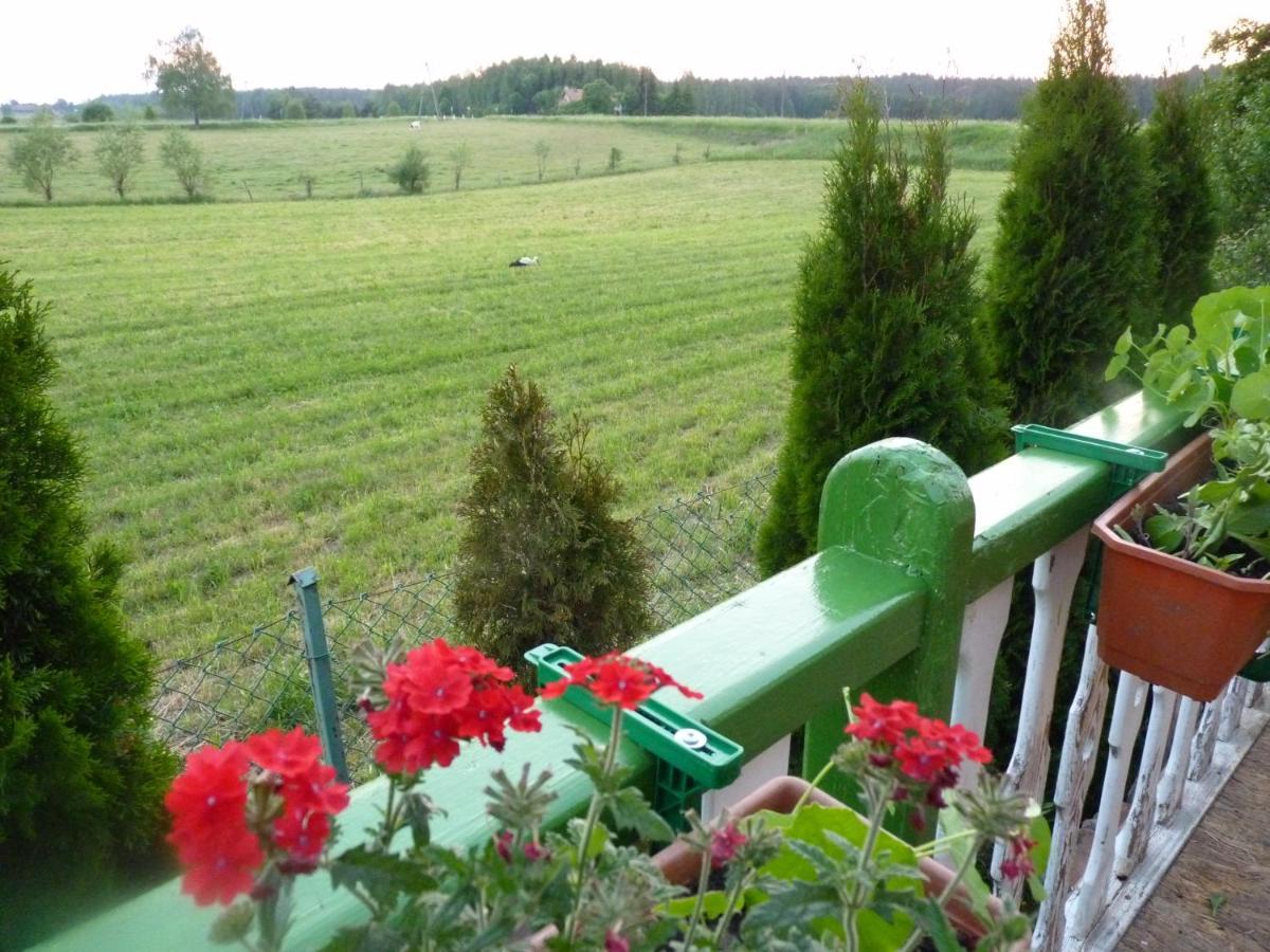 Sloneczna Weranda Bed & Breakfast วิดมินี ภายนอก รูปภาพ